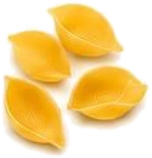 Conchiglie