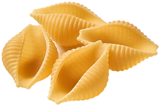 Conchiglie